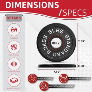 2″ Cast Iron Weight Plates | 2.5LB to 45LB Standard Gym Plates (Singles, Pairs & Multi-Pack Sets) | Black with Silver Numbers for Barbell, Dumbbell, Powerlifting & Home Gym