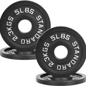 2″ Cast Iron Weight Plates | 2.5LB to 45LB Standard Gym Plates (Singles, Pairs & Multi-Pack Sets) | Black with Silver Numbers for Barbell, Dumbbell, Powerlifting & Home Gym