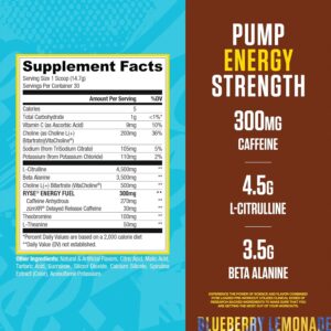 RYSE Loaded Pre Workout Powder – Country Time Blueberry Lemonade – Daily Pre-Workout for Men & Women with 300mg Caffeine, Beta Alanine, and Citrulline for Pump, Focus, and Energy – 30 Servings