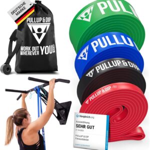 PULLUP & DIP Fitness Bands, Resistance Bands with Bag, Door Anchor (with Sets) and Exercise Guide – Single & in Value Set, Pull-Up Band Fitness Band for Calisthenics