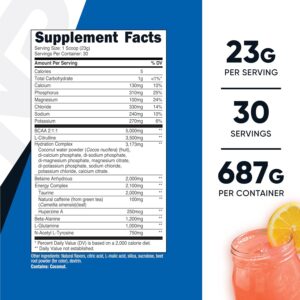 Nutricost Intra-Workout Powder, 30 Servings (Pink Lemonade) – Non-GMO, Gluten Free, Intraworkout Supplement