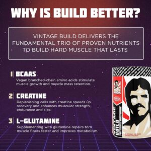 Vintage Build – Post Workout Recovery & Muscle Building Powder Drink for Muscular Strength & Growth – Reduces Soreness – Creatine Monohydrate, BCAAs, L-Glutamine – Juicy Watermelon Flavor – 388g