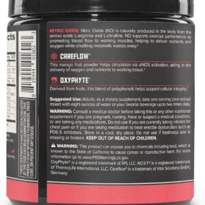 ONNIT Total Nitric Oxide Exercise Performance Powder, Harvest Fruit Punch Flavor, Caffeine-Free Dietary Supplement to Support Muscle Growth and Recovery with NO3-T Arginine Nitrate, 20 Servings