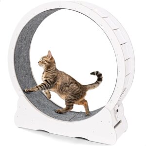 Cat Wheel for Indoor Cats, Medium Quiet Cat Treadmill with Detachable Carpeted Runway, Exercise Running Wheel for Pet’s Entertainment and Health, White