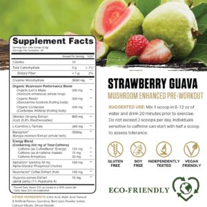 Ambrosia Kinetic Organic Preworkout, Mushroom Enhanced Natural Pre Workout Supplement, Nootropic Superfood Powder for Energy (Strawberry Guava)