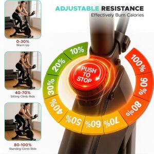 Stationary Exercise Bike for Home, Indoor Cycling Bike with Magnetic Belt Drive Resistance, Adjustable Seat, LCD Display, iPad Holder, 264 LBS Weight Capacity