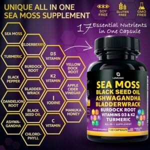 Sea Moss Capsules – 17-in-1 Blend with Black Seed Oil Ashwagandha Bladderwrack Burdock Root Turmeric Vitamin D3 K2 C for Daily Wellness – Multimineral Supplement for Men & Women – 120 Count
