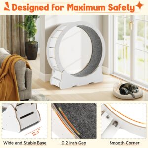 Cat Wheel for Indoor Cats, Medium Quiet Cat Treadmill with Detachable Carpeted Runway, Exercise Running Wheel for Pet’s Entertainment and Health, White