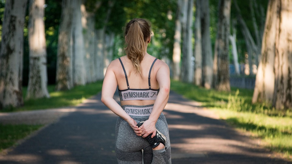 muscle building exercises