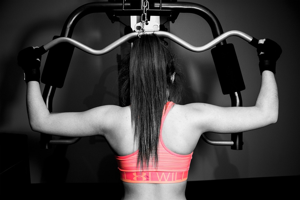muscle building exercises