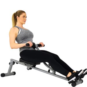 Sunny Health and Fitness 45 Degree Hyperextension Roman Chair, Steel, Grey, One Size + SF-RW1205 12 Adjustable Resistance Rowing Machine Rower w/Digital Monitor