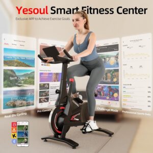 YESOUL Exercise Bike for Home – Indoor Cycling Bike with Silent Magnetic Resistance, Dual-Stage Drive & Alloy Flywheel, Stable 300 lbs Capacity Stationary Bike, Compact Design, Smart APP with Scenic & Live Classes