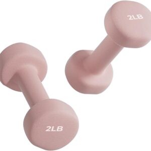 Weights Dumbbells，Anti-Slip, Dumbbell Weight Sets of 2，Equipment Workouts Strength Training Free Weights Suitable for Home Gym2