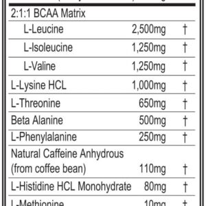 Evlution Nutrition EAA Energy – Pre & Post Workout Powder – Muscle Building & Recovery Supplement – 7g Essential Amino Acids + 5g BCAAs – Clean Energy – With Caffeine – 30 Servings – Watermelon Splash