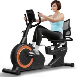 Recumbent Exercise Bike, Recumbent Stationary Bike for Home, Recumbent Bike 350LBS Weight Capacity, Magnetic Recumbent Bike with Smart APP, LCD Monitor, Heart Rate Handle