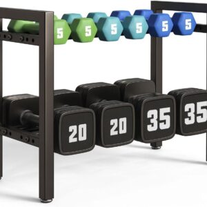 Dumbbell Rack 2-Tier 20 IN Length Adjustable Weight Rack For Home Gym Dumbbells Kettlebell (Rack Only)