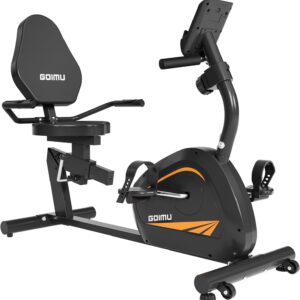 Recumbent Exercise Bike, Stationary Bikes for Home Magnetic Recumbent Bike with Adjust Seat for Adults Seniors, 300LB Capacity & 8-level Resistance, LCD Monitor and Heart Rate Handle