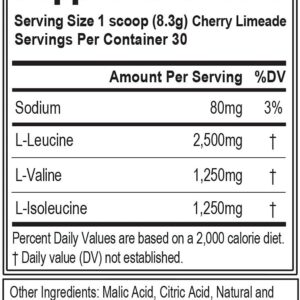 Evlution EVL BCAAs Amino Acids Powder – BCAA Powder Post Workout Recovery Drink and Stim Free Pre Workout Energy – 5g Branched Chain Amino Acids Supplement for Men – Cherry Limeade