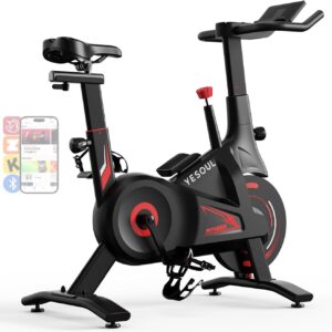 YESOUL Exercise Bike for Home – Indoor Cycling Bike with Silent Magnetic Resistance, Dual-Stage Drive & Alloy Flywheel, Stable 300 lbs Capacity Stationary Bike, Compact Design, Smart APP with Scenic & Live Classes