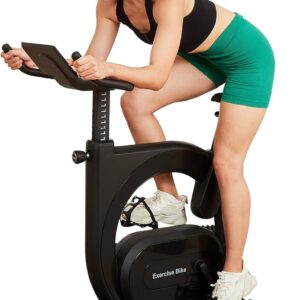 Magnetic Indoor Cycling Bike, 28lbs Flywheel Stationary Bike with Smart Knob Resistance, LCD Monitor & IPad Mount for Home Cardio