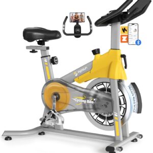 Exercise Bikes for Home,Foldable Bike with Adjustable Friction,Brake Pad Resistance Silent Belt Drive,350lbs/300lbs Weight Capacity &Upgraded Version Seat for Home Cardio&Weight Loss(QM-530W)