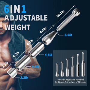 Adjustable Macebell, 6/8-in-1 Indian Club Weighted for Strength Training (6.6/8.8/11/13.2/15.4/17.6/19.8/22LBs), Shoulder & Grip Workouts, Progressive Weight System