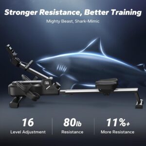 MERACH Magnetic Rowing Machines&Seat Cushion for Home, Foldable Rowing Machine, Compact Row Saves 20% Space, 350 LBS Load Capacity