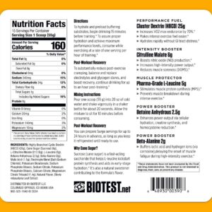 Biotest Surge – Clinical-Dose Intra-Workout, 15 Servings – 25g HBCD, 6g Citrulline Malate, 5g L-Leucine (Fermented), 2.5g Betaine, 340mg Sodium – Berry