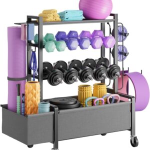 Adjustable Dumbbell Rack, 4-Tier Movable Weight Rack Stand for Home Gym Up To 405lb with Lockable Caster & Hooks, Home Gym Equipment Storage for Dumbbell Kettlebell Yoga Mat Ball