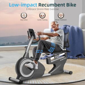 Recumbent Exercise Bike, Recumbent Stationary Bike for Home, Recumbent Bike 350LBS Weight Capacity, Magnetic Recumbent Bike with Smart APP, LCD Monitor, Heart Rate Handle