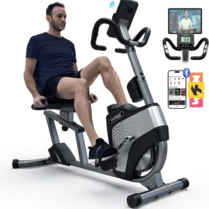 HARISON Magnetic Recumbent Exercise Bike, Recumbent bikes for Adult and Seniors, Recumbent Exercise bike for Home 350 lbs Capacity