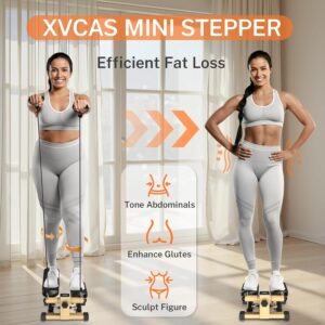 Mini Steppers for Exercise at-Home, Step Fitness Machines with Resistance Bands and LCD Monitor, Mini Stair Stepper with 220 LBS Loading Capacity for Daily Workout