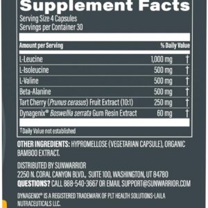 Amino Acids Supplement Recovery Capsules Stimulant-Free Post-Workout Muscle Recovery & Strength Support BCAAs Beta-Alanine, Tart Cherry & Boswellia Reduced Soreness & Faster Healing 120 Vegan Capsules