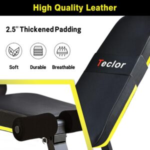 Adjustable Weight Bench, Foldable Workout Benches for Home Gym, 10 Backrest Position Exercise Bench for Strength Training, Upgraded Thickened Steel Support Max Capacity 700LBs