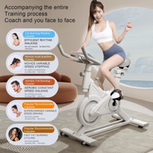 Exercise Bike – Stationary Upright Fitness Bike for Home Gym Workout – Magnetic Resistance