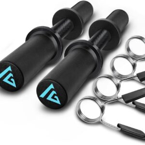 16″ Olympic Dumbbell Handle, Dumbbell Bar for 2-inch Olympic Weight Plates, Loadable Dumbbells for Home Gym Strength Training, 2 Pair of Spring Collars Included