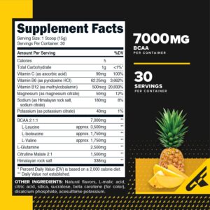 Primaforce BCAA Powder (Pineapple Mango) (30 Servings) – 7000MG 2:1:1 BCAAs, Post-Workout Recovery Drink with Amino Acids and Real Salt for Men & Women