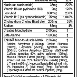 EVL Intense Pre Workout with Creatine – ENGN Energizing Pre Workout for Men Powder Drink for Lasting Energy Focus and Recovery – with Beta Alanine Caffeine and L Theanine – Rocket Pop