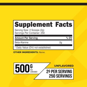 Primaforce Beta Alanine Powder 500 Grams (1.1lbs) Unflavored – Pre Workout and Post Workout Supplement