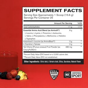 BARE PERFORMANCE NUTRITION BPN Recover Post‑Workout Enhanced Muscle Recovery Drink Mix – Essential Amino Acids with Amino9®, CherryPURE® Tart Cherry & Carnitine, 25 Servings, Fruit Punch