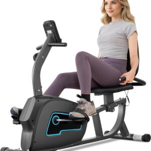 Recumbent Exercise Bike for Home, Recumbent Stationary Bike for Adults & Seniors with 8-Level Magnetic Resistance, Adjustable Seat, Heart Rate Handle & LCD Display, 300LB Capacity