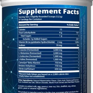 MRM Nutrition Reload BCAA+G Post-Workout Recovery | Watermelon Flavor | 8.5g Amino Acids with Glutamine & CarnoSyn® | Muscle Recovery & Endurance Support | Keto Friendly Powder | 67 Servings