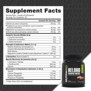 NutraBio Reload – Powerful Muscular Recovery Formula – Post-Workout Supplement – 3G Creatine – 8G BCAAs – 5G Glutamine – 30 Servings, Orange Mango