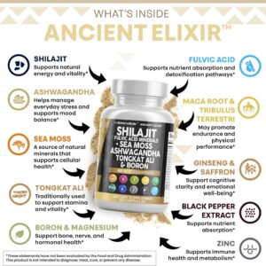 Clean Nutraceuticals Shilajit Supplement for Men with Sea Moss, Tongkat Ali, Ashwagandha, Boron, Zinc, CoQ10, PQQ – Fulvic Acid Capsules – Energy Support – 90 Count – Resin, Gummy & Powder Alternative