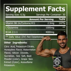 Fossil Fuel Sugar-Free BCAA Powder – Post-Workout Muscle Recovery with BCAAs, Glutamine, Vitamin B6, Amino Acids, Endurance & Hydration, Honeydew Watermelon (30 Servings)