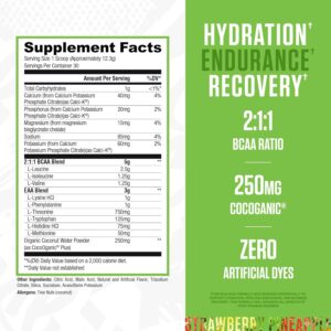 RYSE BCAA EAA Powder – Strawberry Pineapple – 5g Branched Chain Amino Acids, 3g Essential Aminos, Sugar-Free Electrolytes for Pre & Post Workout Muscle Recovery, Hydration and Strength – 30 Servings