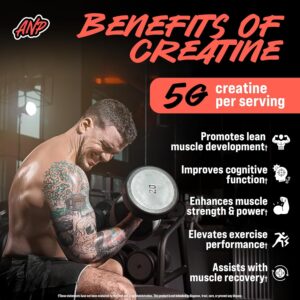 Creatine Monohydrate Gummies 5g – Strawberry-Watermelon Flavored Creatine for Men and Women – Supplement for Lean Muscle Gain, Energy, Pre and Post Workout, Focus & Cognition, Recovery, (120 Gummies)