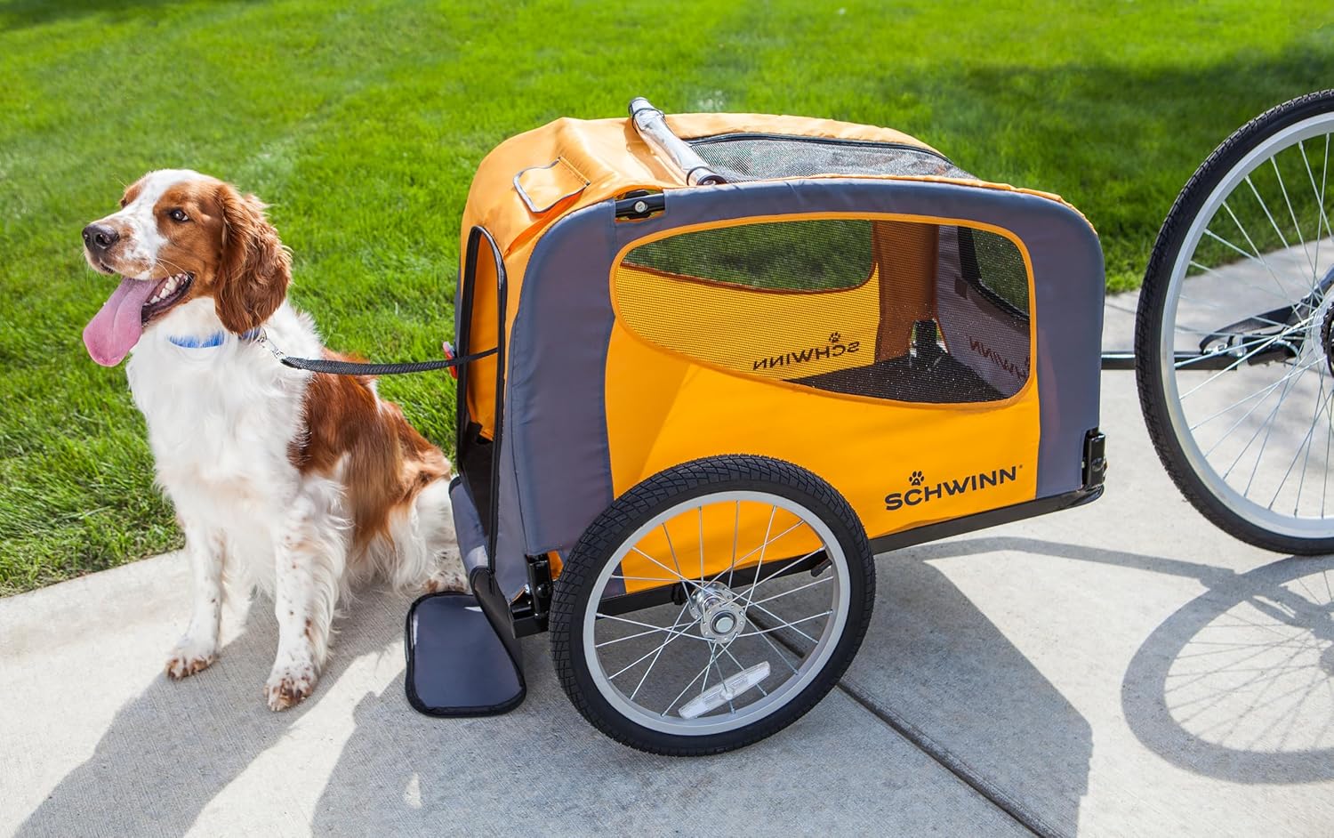 Schwinn Rascal Pet Trailer, Holds Pets Up to 50 or 100 lb, Universal Coupler, Folding Frame, Quick-Release Wheels, Rear Doggy Door, Leash, Washable Liner, Bug Screen, Schwinn Bike Trailer for Pets - Image 8