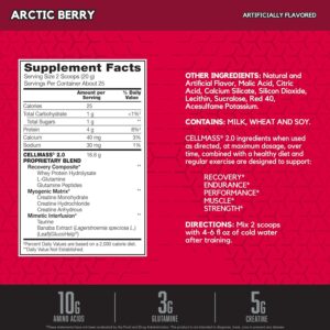 BSN CELLMASS 2.0 Post Workout Recovery with BCAA, Creatine, & Glutamine – Keto Friendly – Arctic Berry, (25 Servings) (1048058)