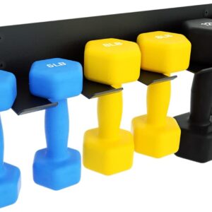 Double Circle Gym Rack Organizer, Multi-Purpose Workout Gear Wall Rack Hanger for Home and Pro Gym Storage for Exercise Bands, Jump Ropes, Chains, Lifting Belts